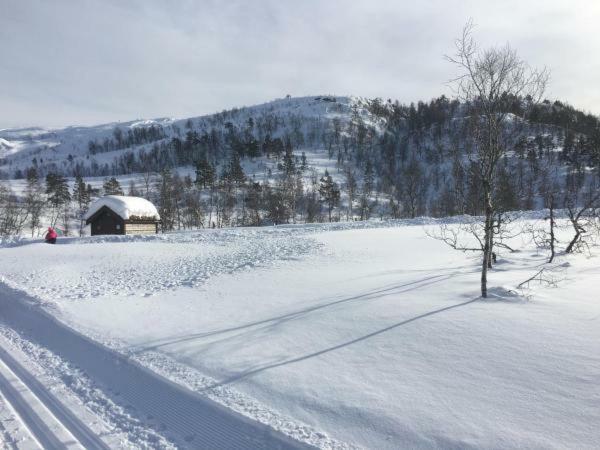 Kvamseter Lodge - Mountain Apartments Norheimsund Esterno foto